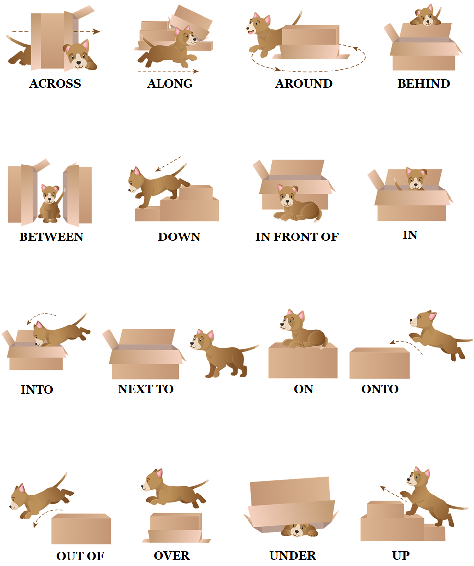 Przyimki miejsca - Angielski od podstaw Przyimki miejsca w języku angielskim - Prepositions of place - Angielski od podstaw